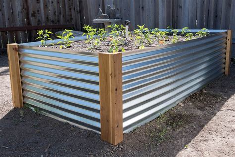 metal roof garden box|corrugated metal garden bed.